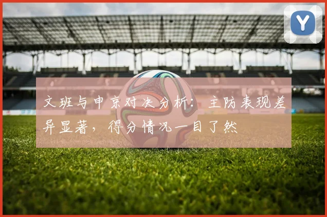 文班与申京对决分析：主防表现差异显著，得分情况一目了然