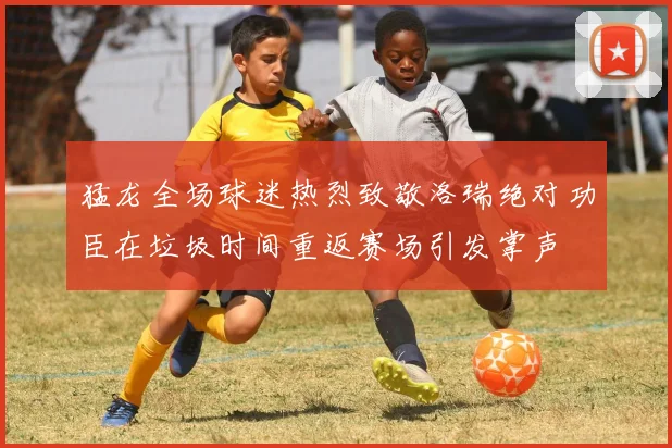 猛龙全场球迷热烈致敬洛瑞绝对功臣在垃圾时间重返赛场引发掌声